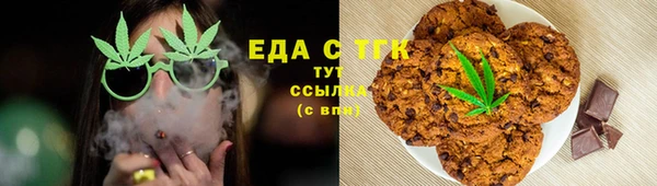 индика Пестово