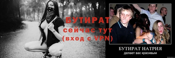 индика Пестово