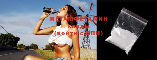 индика Пестово
