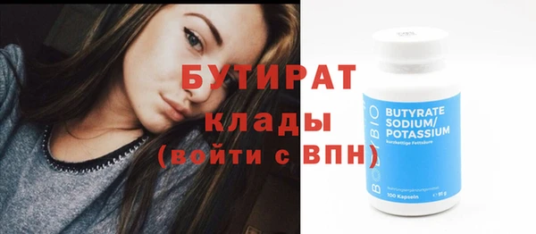 индика Пестово
