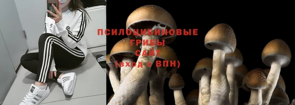 кристаллы Пересвет