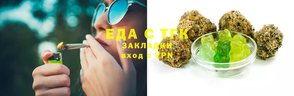 индика Пестово