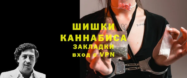индика Пестово