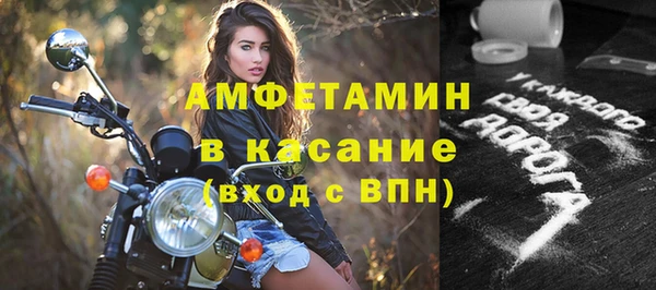 индика Пестово