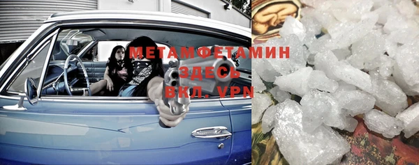 индика Пестово