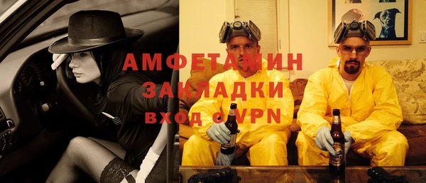 индика Пестово