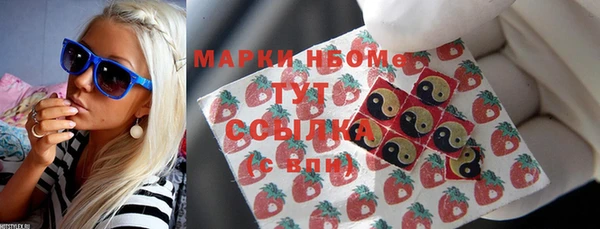 индика Пестово