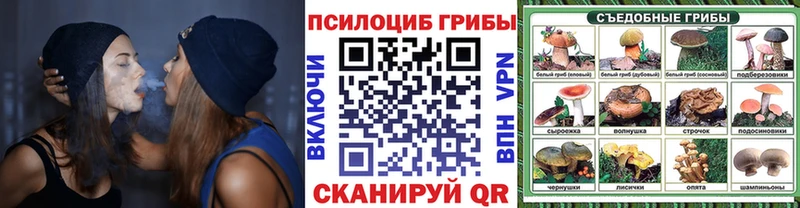 mega как войти  Осташков  Галлюциногенные грибы прущие грибы 